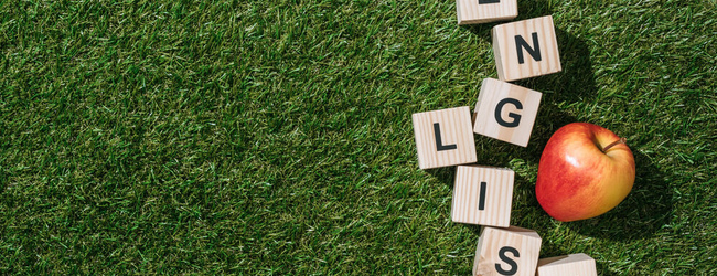 Английский с «нуля». С чего начать?