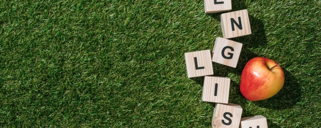 Английский с «нуля». С чего начать?